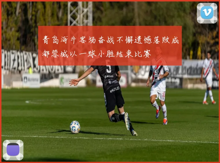 青岛海牛客场奋战不懈遗憾落败成都蓉城以一球小胜结束比赛